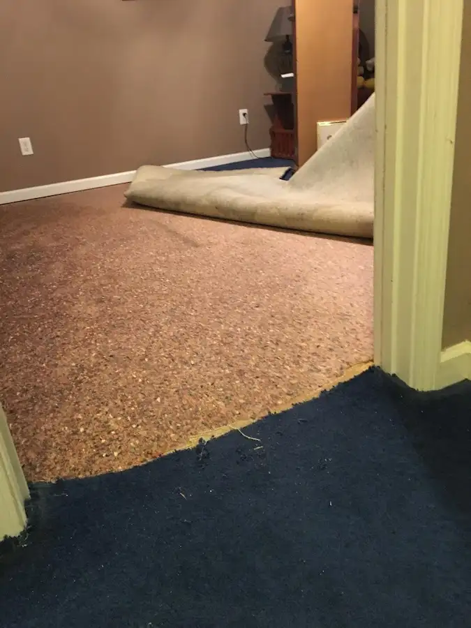 Carpet pad removal revealing water damage during Drying & Dehumidification in Port Royal