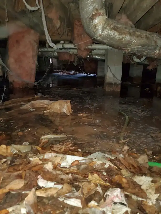 Crawl space flood assessment for Commercial Water Damage Restoration in Port Royal