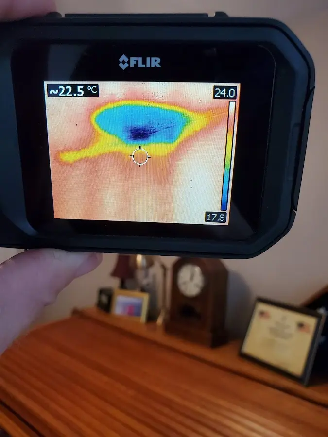 Thermal imaging inspection for water damage in Port Royal