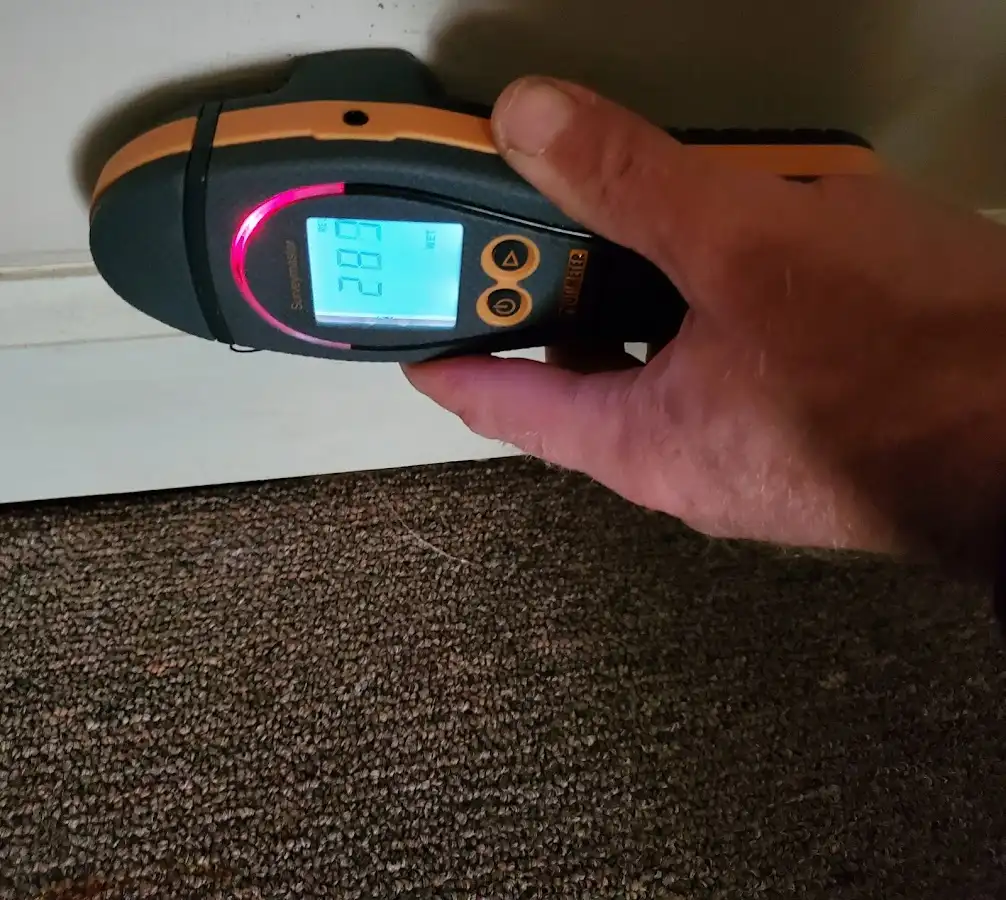 Moisture detection at baseboard during Sewage Cleanup & Sanitation in Port Royal